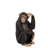 Monkey Chimpanzee Sitting Life Size Statue