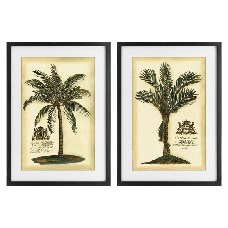 Ensemble de 2 reproductions encadrées sous verre rétro Vintage Palms, conception par Vision Studio, H 23 po x l 17 po