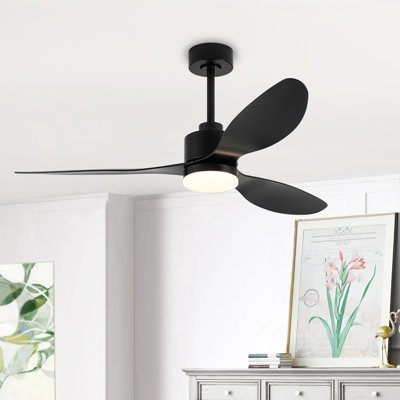Loritta 3-Blade Ceiling Fan with Light