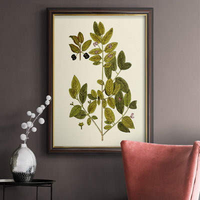 " Olive Greenery VII " Painting Print