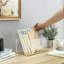 Hemanshu Acrylic Mail Box Desk Organiser