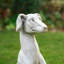Statue de jardin chien assis