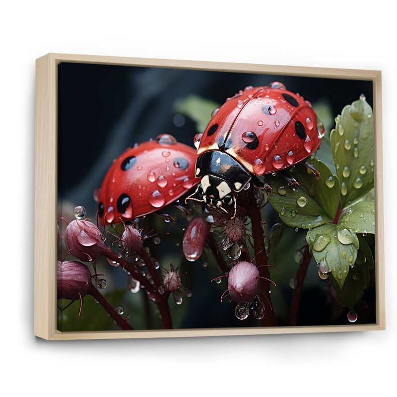 «Botanical Landybug Harmony III», reproduction sur toile, Cadre naturel flottant, H 30 po x l 40 po x P 1,5 po
