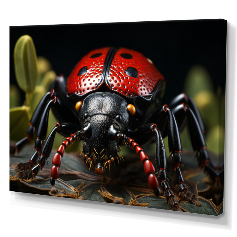 " Insects Bugs Portrait Stunning II ", H 12 po x l 20 po, Toile tendue