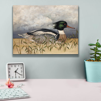 «August Breasted Merganser» par David Carter
