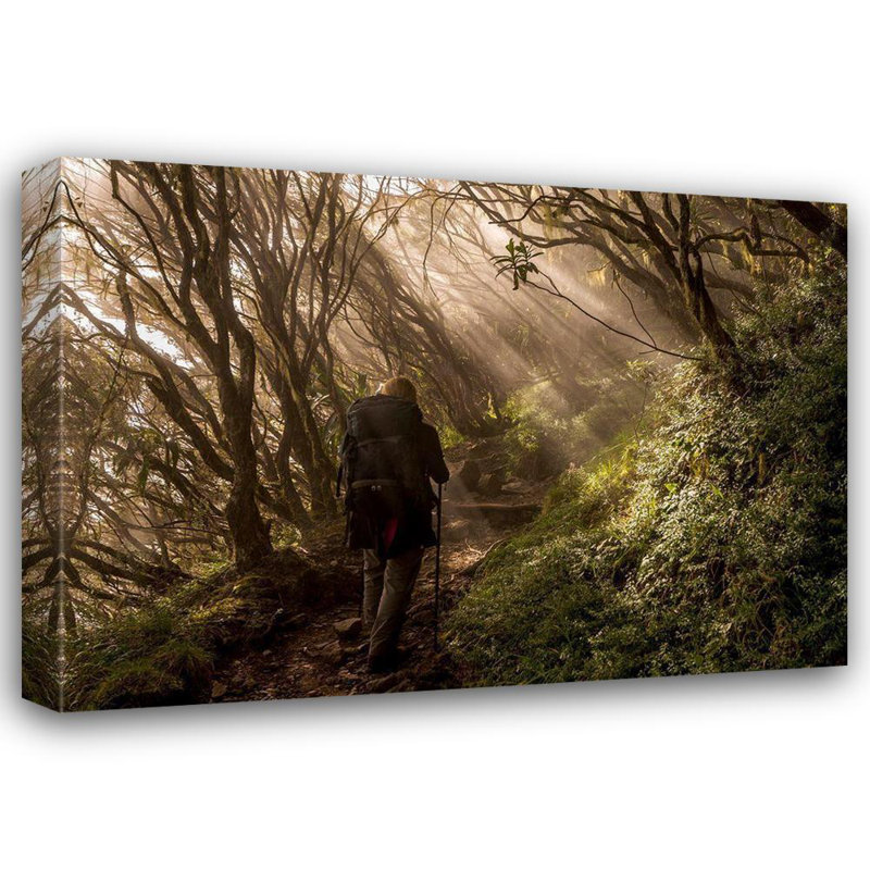 Art sur toile tendue avec toile Millobel Pines Wrobel, Karsten, à travers la forêt enchantée, H 35 po x l 48 po