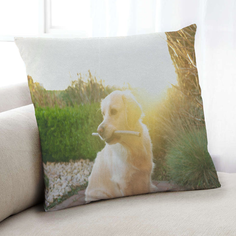 Coussin Dogs Golden Retriever 4, Microsuède