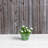 Alaunah Pot Planter-840690748-840690751