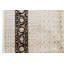 Oriental Area Rug