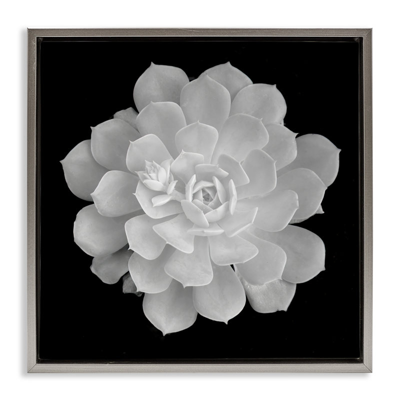 Cadre flottant blanc pur contrastant, design par Phillip Flowers, H 25 po x l 25 po, Cadre flottant gris lustré