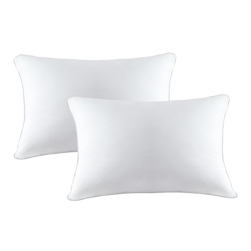 Coussins décoratifs en duvet et duvet (ensemble de 2) - Intérieur décoratif, lavable à la machine, H 20 po x l 12 po