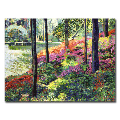 Oil Print