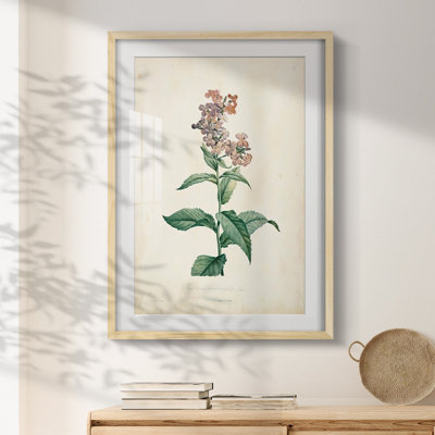 Allspice II - Toile tendue avec châssis