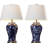 Ceramic Table Lamp