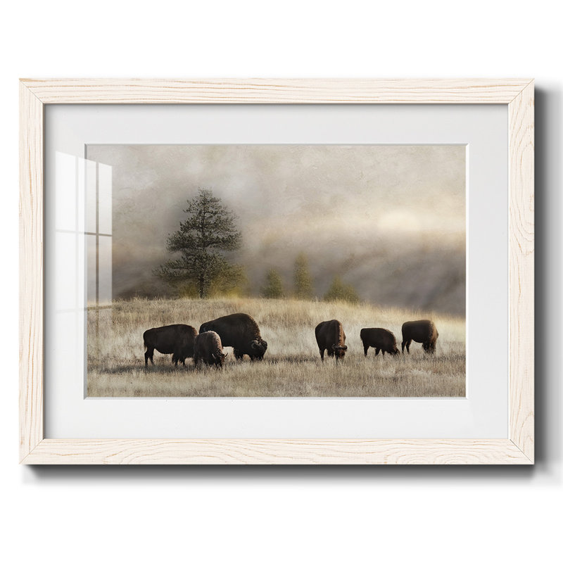 " Ridge Grazing ", White, 28" H x 42" W x 1.5" D