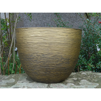 Colin Planter