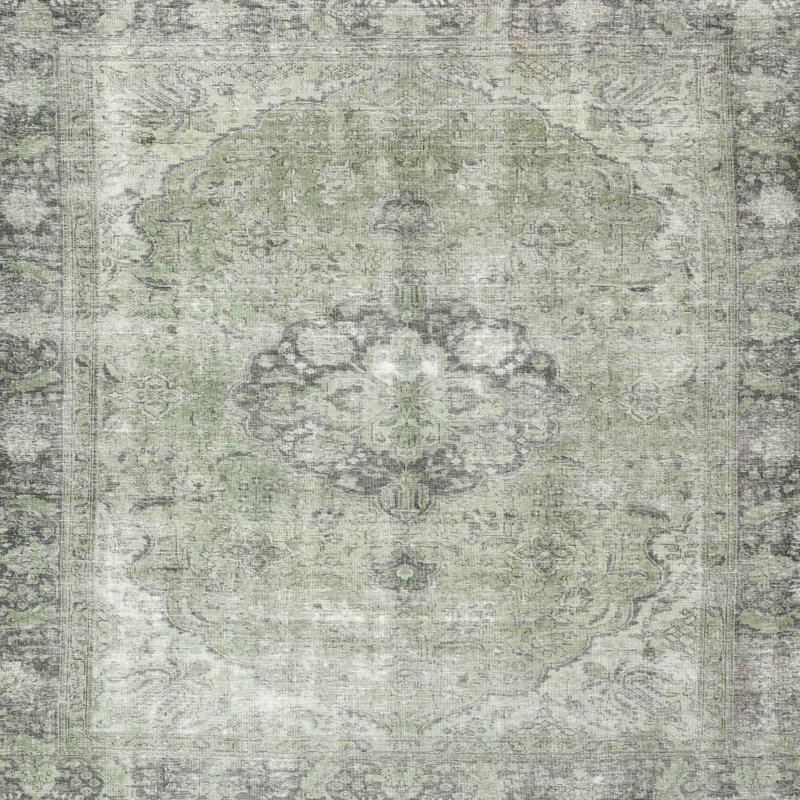 Aizhan Oriental Indoor Rug, Square 3'