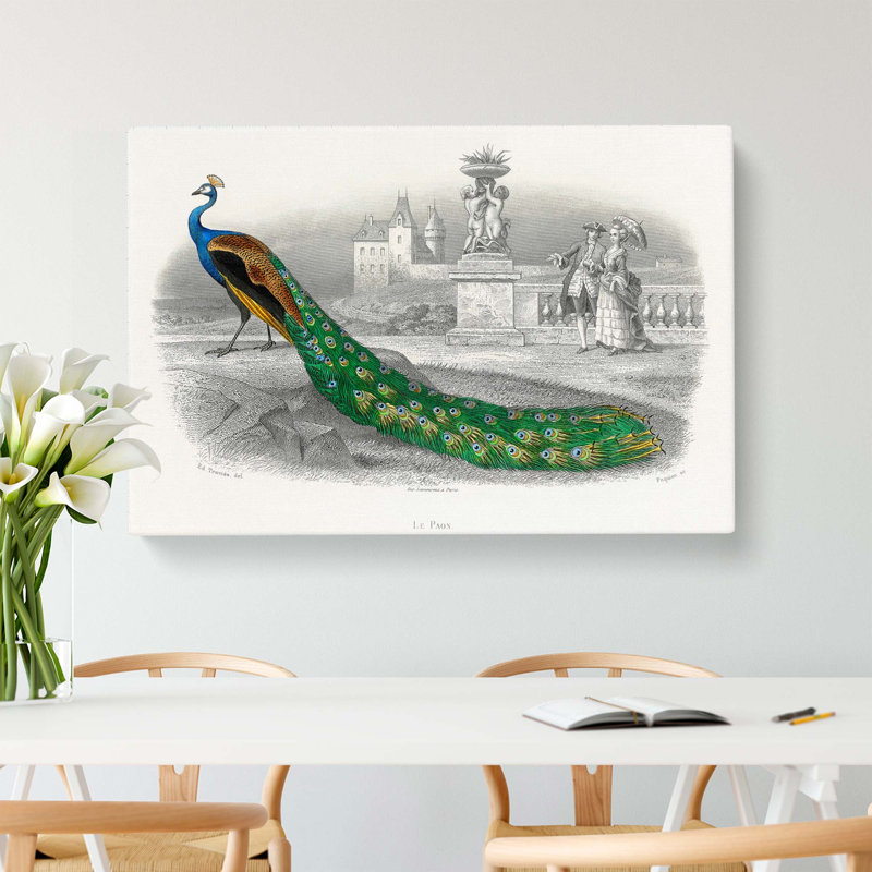 Admiring a Peacock - Wrapped Canvas, 50cm H x 76cm W x 3cm D