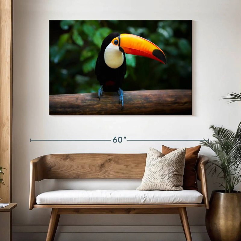 Brampt Brazilian Toucan, 32" H x 48" W