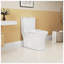 Toilette allongée blanche une pièce avec double chasse, hauteur confortable, siège à fermeture douce, certifiée CUPC et WaterSense