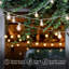 Pro 12-Light 26 ft. Outdoor Plug-In LED 1-Watt G40 Soft White Bulb String Lights-110653331