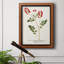 Nature imprimée Botanicals III, toile encadrée de qualité supérieure - prête à être accrochée-178641792