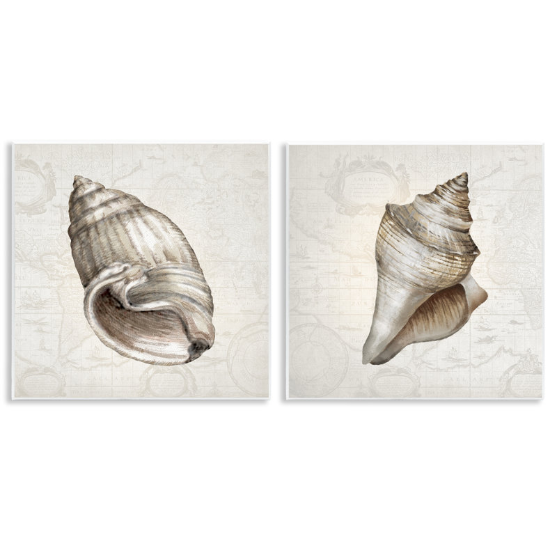 Conch, coquillages sur cartes rétro, ensemble de 2 plaques murales, design par Conrad Knutsen