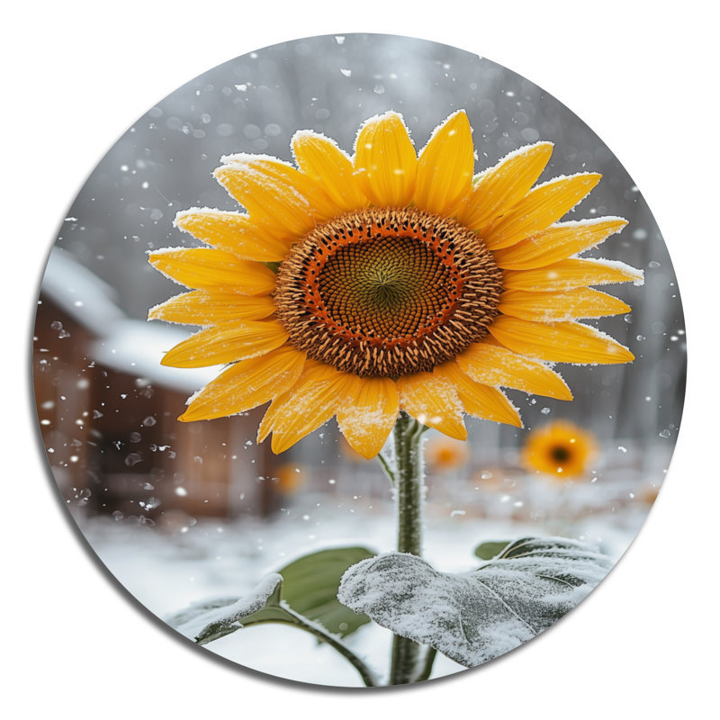 «Country Side Sunflowers In A Snowy Barnyard II», reproduction d'art en métal jaune traditionnel, H 23 po x l 23 po