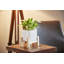 Ceramic Indoor Planter with Wood Stand