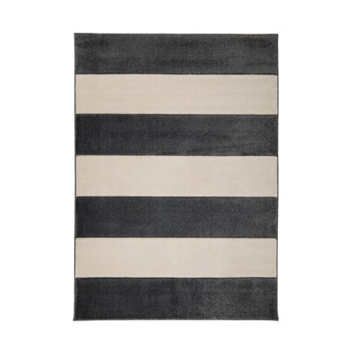 Striped Area Rug