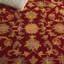 Tapis oriental en laine touffeté à la main Dunbar-19268542