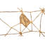 Mesh Wall Décor