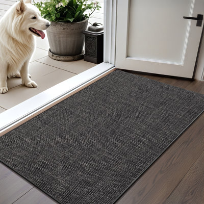 Non-Slip Indoor Doormat