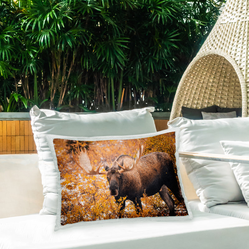 Housse et insert de coussin rectangulaire intérieur / extérieur en polyester par Daniel Sproul