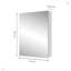 Pharmacie pour salle de bain avec miroir l 24 po x H 30 po