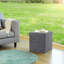 Mccleskey 38cm Wide Square Solid Colour Ottoman with Storage-32003074
