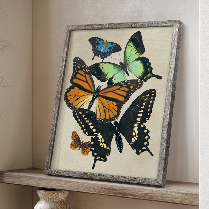 «Collage Butterflies I», reproduction encadrée - bois massif, H 15 po x l 12 po
