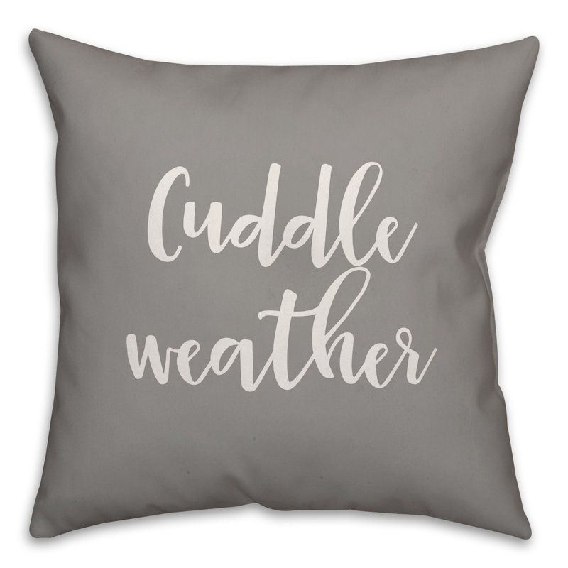  Cuddle Weather Throw Pillow, Gray, Pillow Cover & Insert