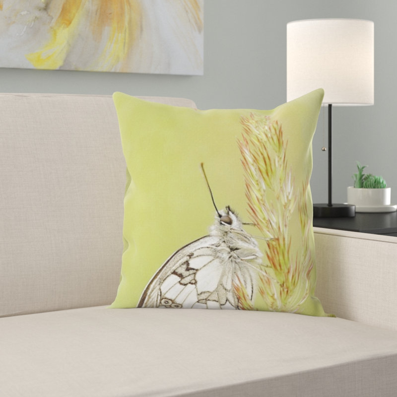 Housse et insert de coussin carré papillon