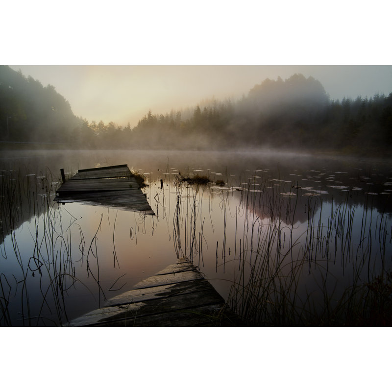Wrapped Canvas Print, 50.8 cm H x 76.2 cm W