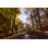 Route de campagne en automne par Wldavies