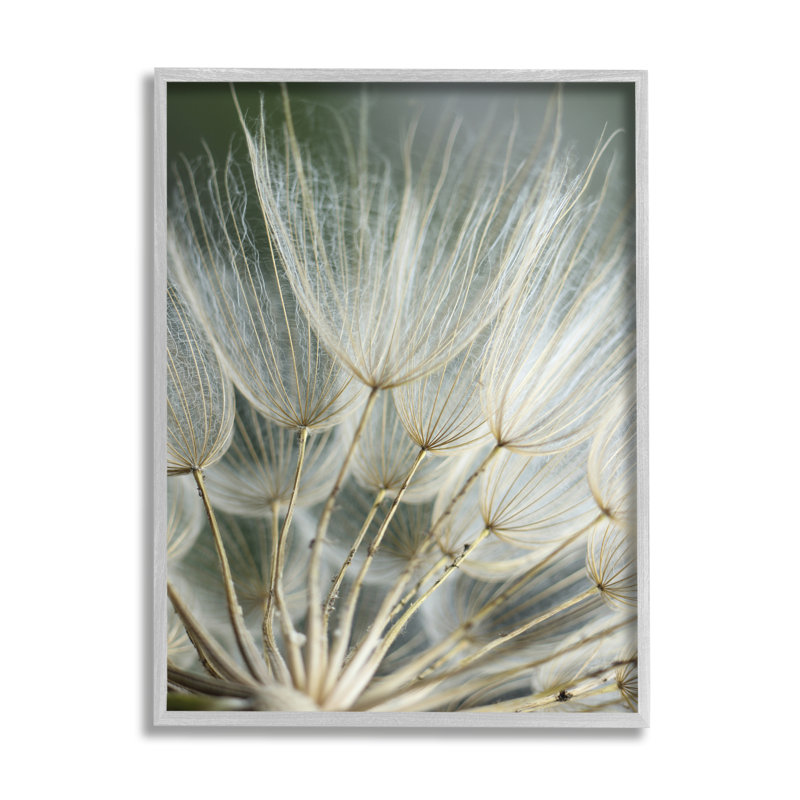 Az-398 - Imprimé pissenlit doux encadré, H 30 po x l 24 po x P 1,5 po, Estampe numérique Farmhouse