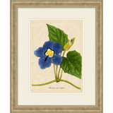 Radiant Floral 9 Print