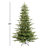 Lighted Christmas Tree-1307521269