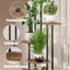 Plant Stand - Set of 5