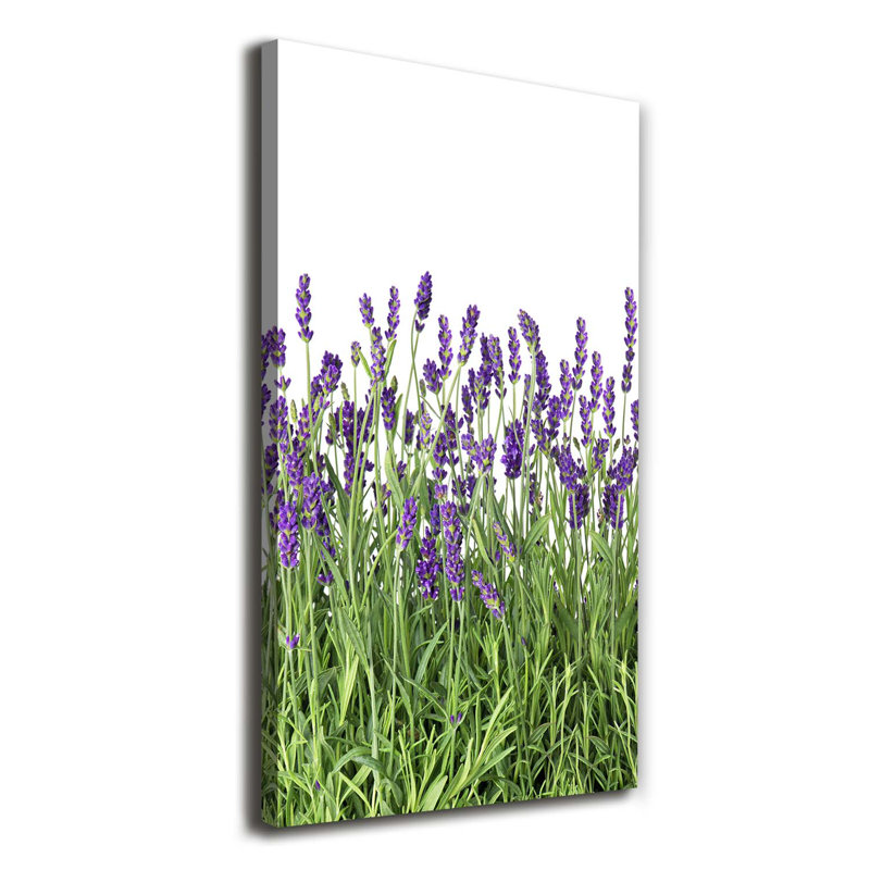 Lavender Field - Wrapped Canvas Print