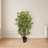 Bamboo Tree with Planter-1223083804