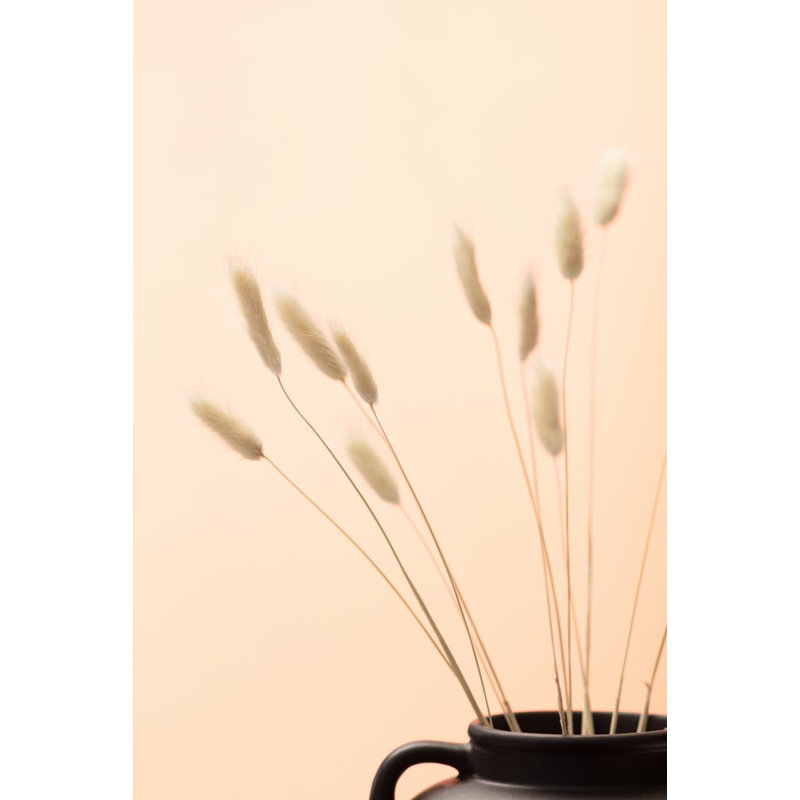 Bunny Grass 01, 81.28cm H x 121.92cm W