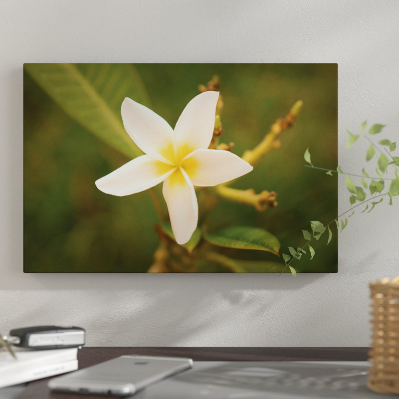 «White Flower» par Aged Pixel, reproduction sur toile tendue, H 18 po x l 26 po x P 1,5 po, Toile tendue, Pas de tapis