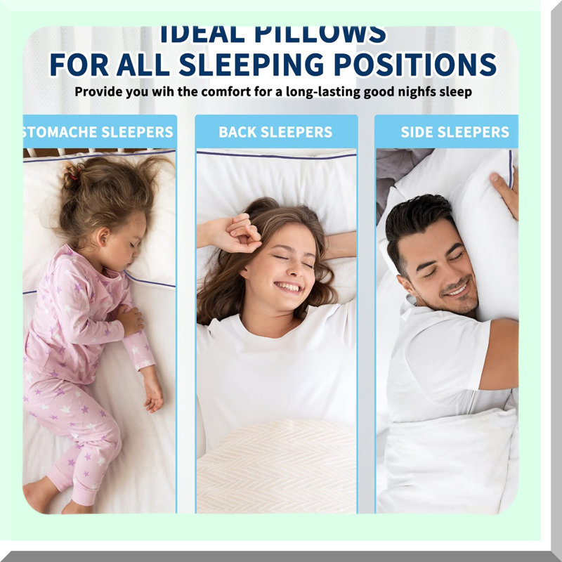 CoolDreams Queen Pillow Set - 2 Pack Cooling Pillows for Side, Back, and Stomach Sleepers. Down Alternative Filling for Luxury Soft Quality. Premium Plush White.